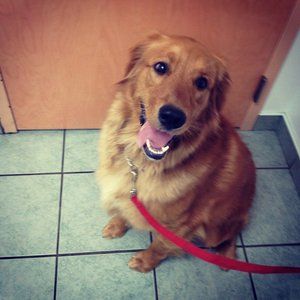 Meet your Posher, Mark